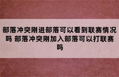 部落冲突刚进部落可以看到联赛情况吗 部落冲突刚加入部落可以打联赛吗